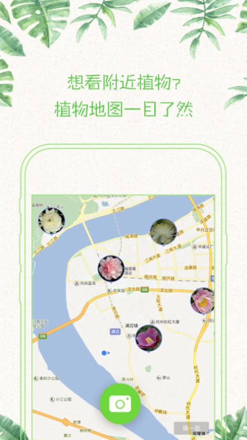 11月6日复工地图新篇章，探寻内心宁静绿洲的旅程