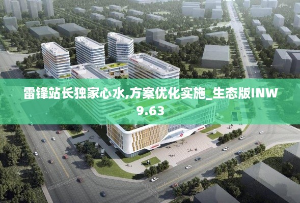 雷锋站长独家心水,方案优化实施_生态版INW9.63