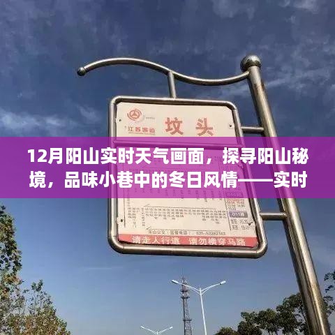 秘境探秘