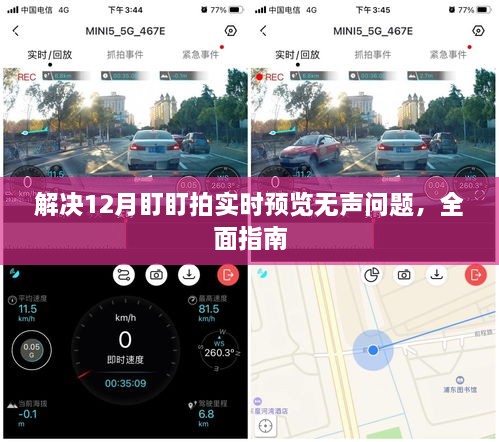 全面指南