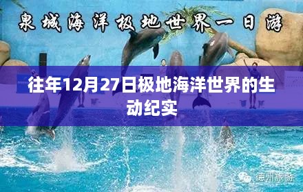 meikaiyanxiao 第4页