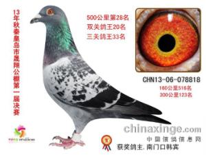 客户案例 第1372页