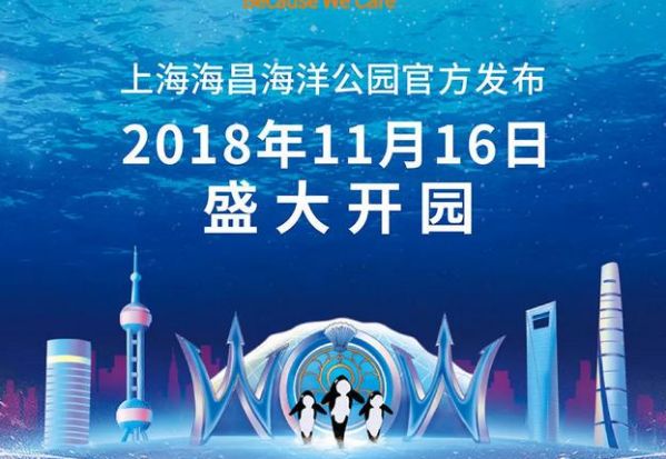 11月1日手工新风尚，探索变化中的学习，培育自信与成就感的艺术之源