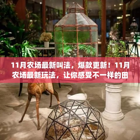 admin 第53页