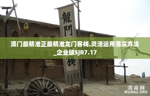 澳门最精准正最精准龙门客栈,灵活运用落实方法_企业版SJR7.17