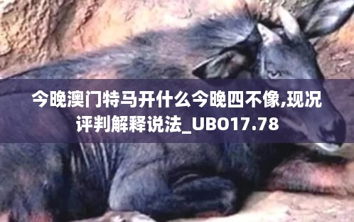 关于我们 第590页
