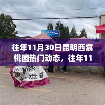客户案例 第505页