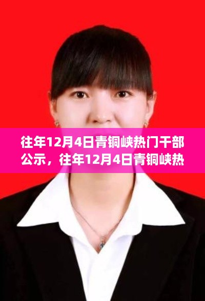客户案例 第401页