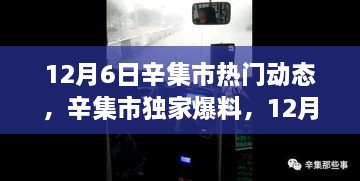 热门动态