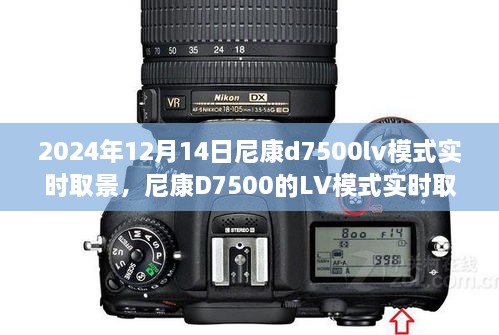 行业资讯 第147页