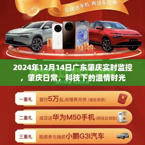 行业资讯 第127页