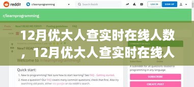 初学者到进阶用户