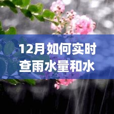 第476页