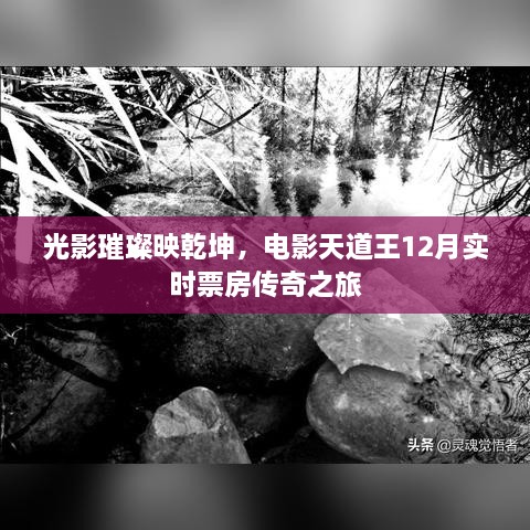 实时票房