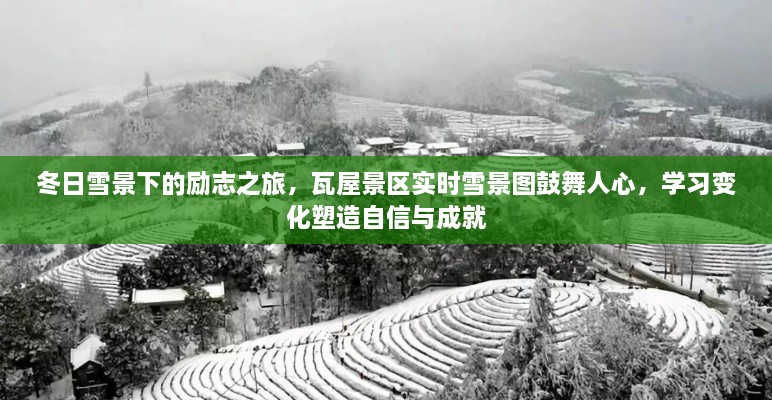 学习变化的力量