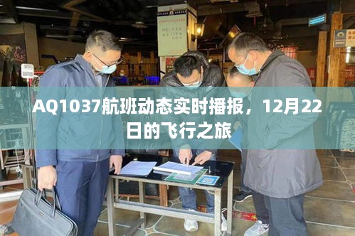 实时播报