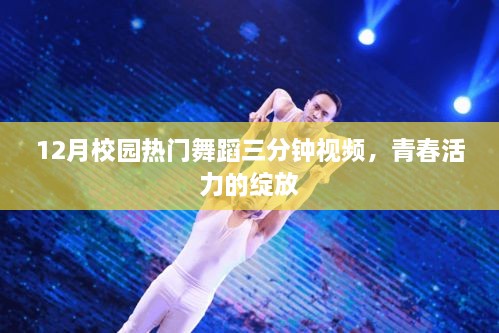 第205页