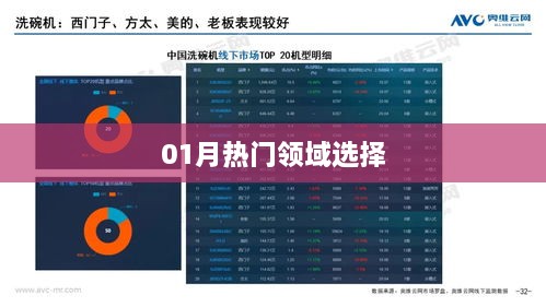 客户案例 第25页