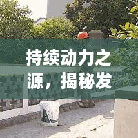 客户案例 第19页