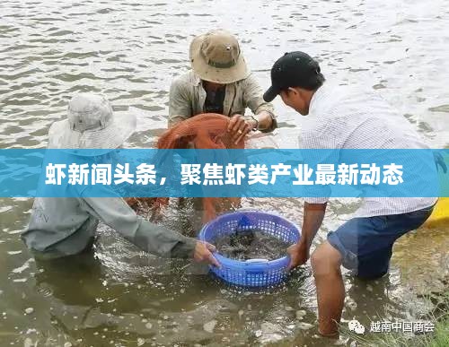 客户案例 第4页