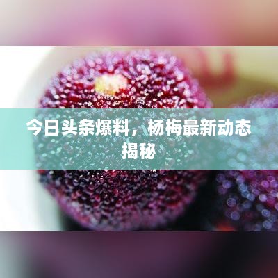 关于我们 第4页
