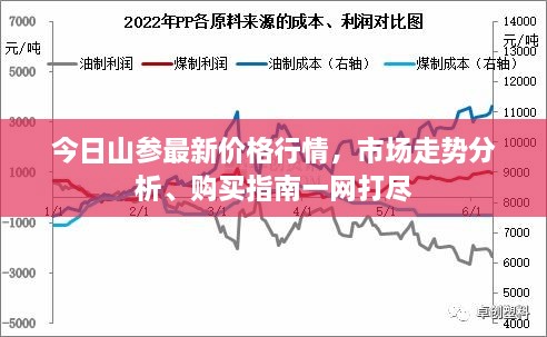 今日山参最新价格行情，市场走势分析、购买指南一网打尽