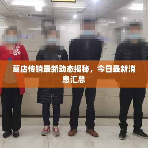 葛店传销最新动态揭秘，今日最新消息汇总