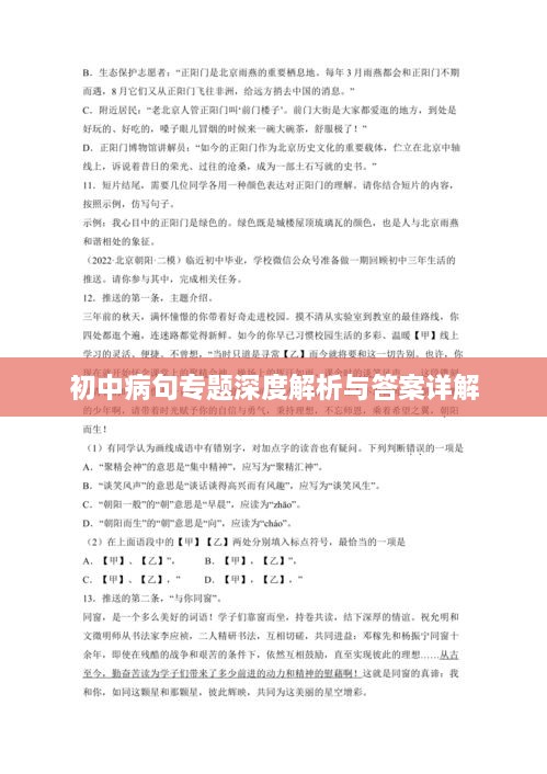 初中病句专题深度解析与答案详解